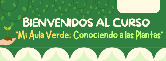 grupo08.milaulas.com